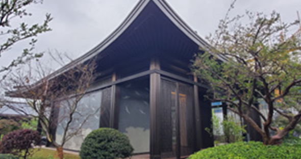 養云6